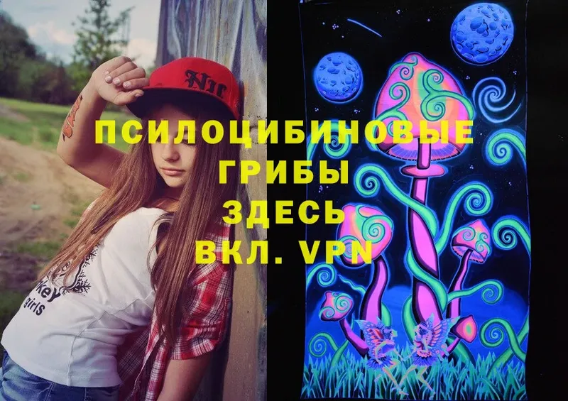 omg рабочий сайт  хочу   Кириши  Галлюциногенные грибы Psilocybine cubensis 